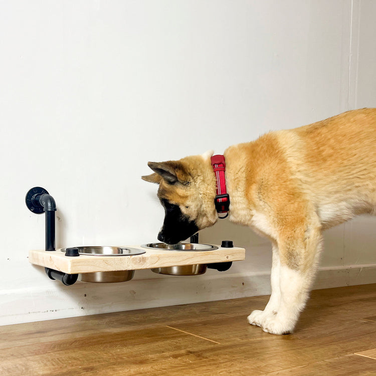 Raised Dog Bowl, Wall Mounted, Wood & Iron Pipe