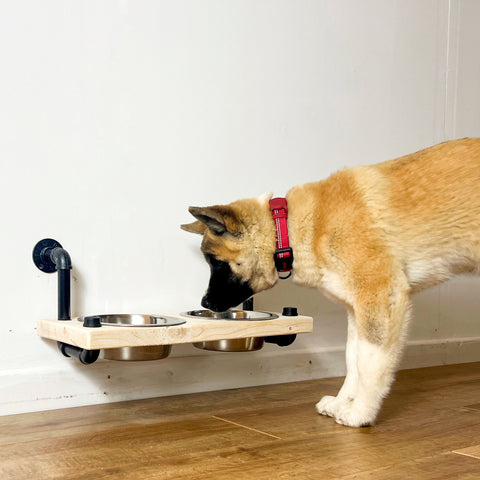 Raised Dog Bowl
