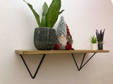 Steel Prism Shelf