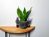 Semi Circle hairpin console