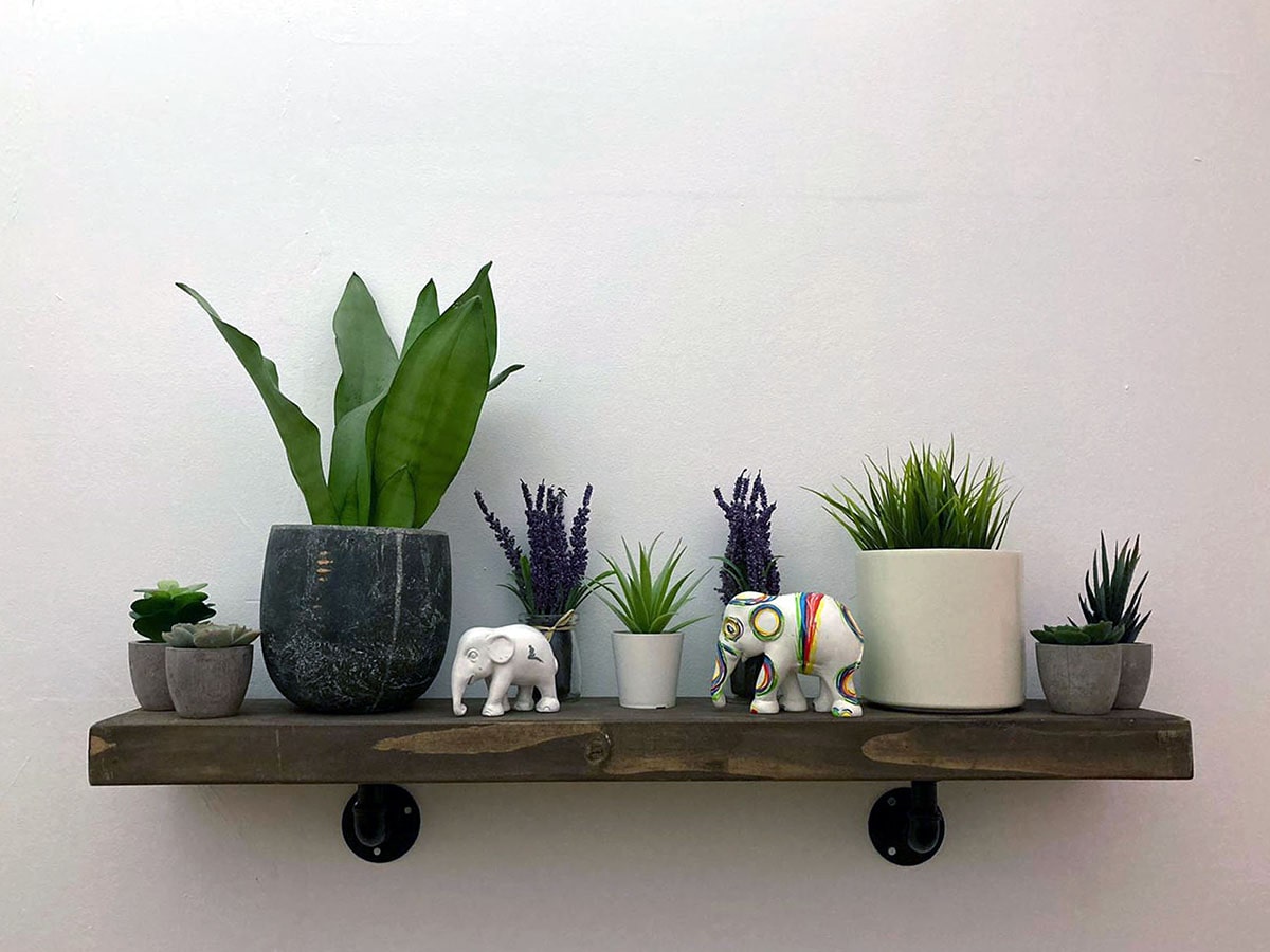 Iron Pipe Shelf